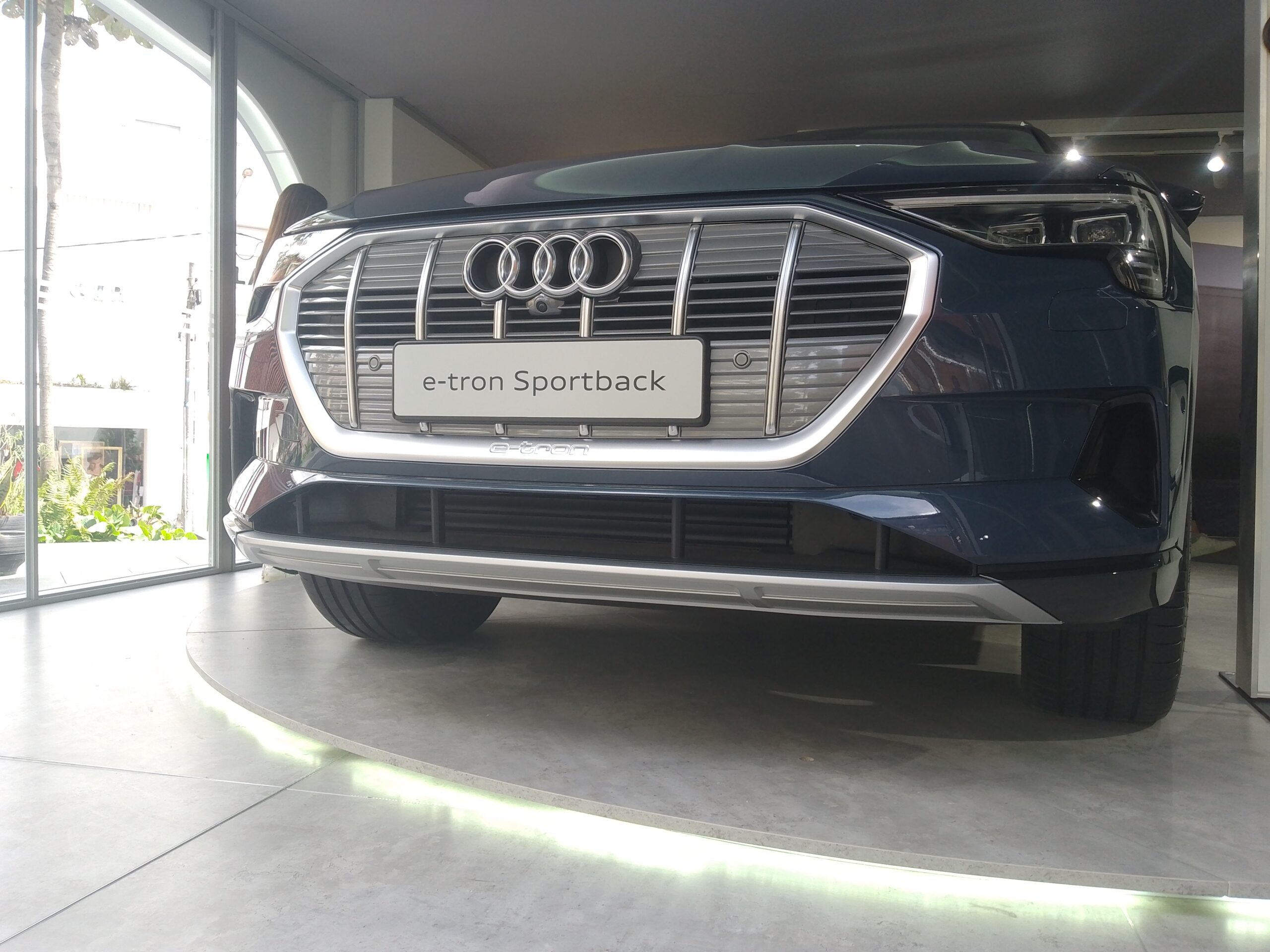 Polichado Automotriz